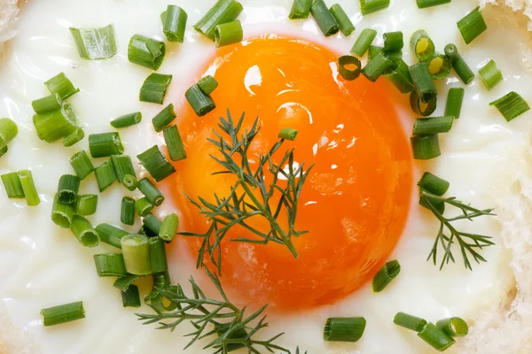 Huevo frito espolvoreado cebollas verdes y vista superior de eneldo — Foto de Stock
