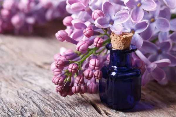 Oil from the fragrant flowers of lilac horizontal — Stock Photo, Image