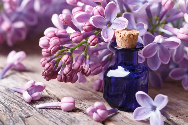 Tinktur aus aromatischen Fliederblüten in Nahaufnahme — Stockfoto