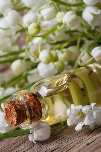 Tinktur av liljekonvaljer i en flaska. makro — Stockfoto