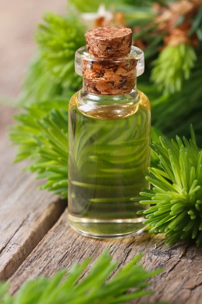 Essential aromatic oil spruce closeup vertical — Stock Photo, Image