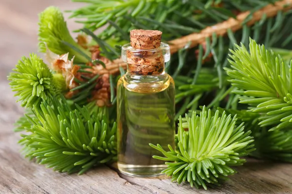 Essential aromatic oil spruce closeup on a wooden — Stock Photo, Image