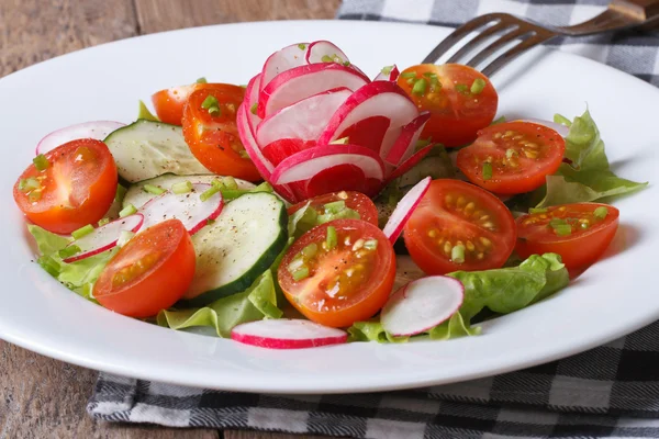 Insalata fresca di cetrioli, pomodori, ravanelli e cipolla verde — Foto Stock