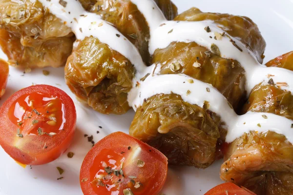 Lahana dolması, ekşi krema closeup ile alır. Yatay — Stok fotoğraf