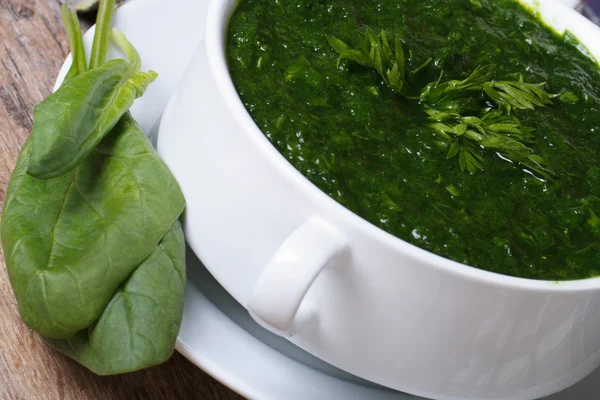 Vitamin green spinach soup macro — Stock Photo, Image