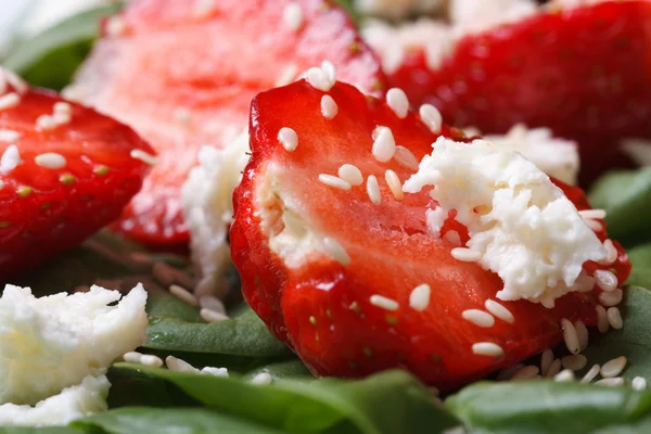 Fraise et fromage de chèvre en gros plan dans la salade de vitamines — Photo