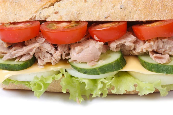 Sandwich au thon aux légumes et fromage isolé macro — Photo