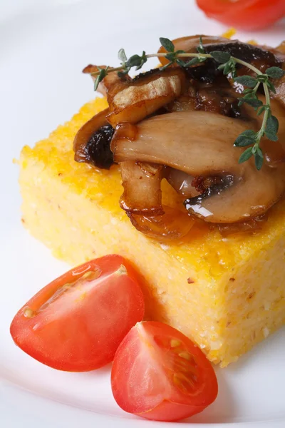 Polenta with mushrooms, tomatoes and thyme macro — Stock Photo, Image