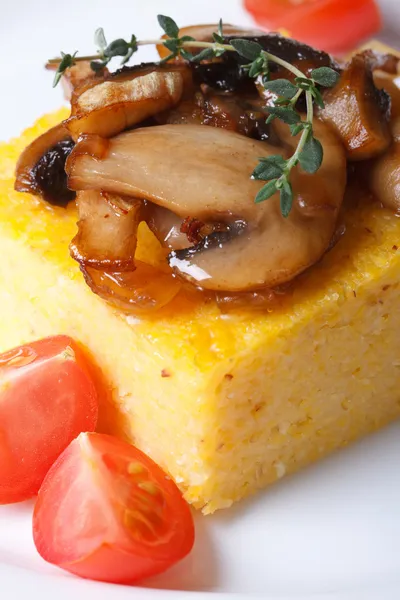 Polenta with mushrooms, tomatoes and thyme macro vertical — Stock Photo, Image