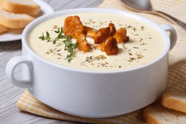 croutons mantar chanterelles, kekik ile krem çorba