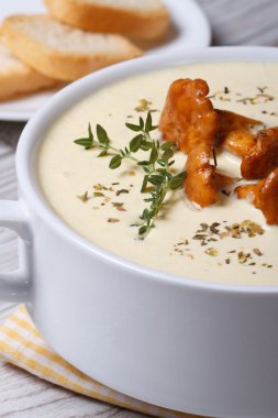 kremalı çorba, chanterelles kapatmak dikey 