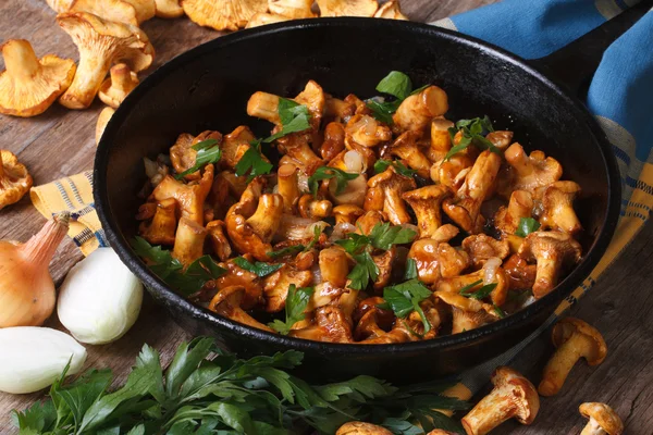 Fried chanterelle mushrooms with onion and parsley in a pan — Stock Photo, Image