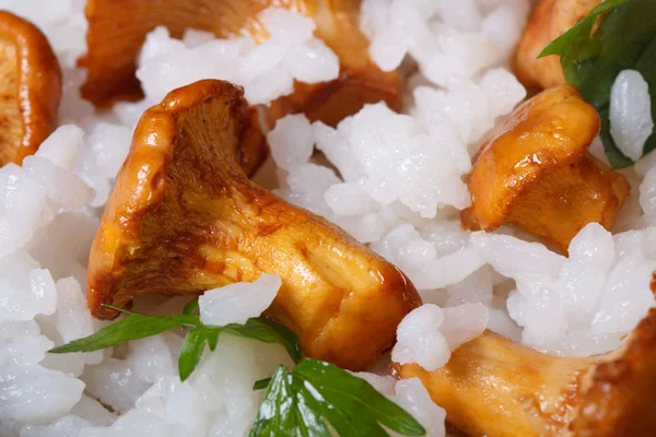 Background of rice with mushrooms chanterelles and parsley — Stock Photo, Image