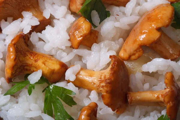 Background risotto with chanterelles and parsley — Stock Photo, Image