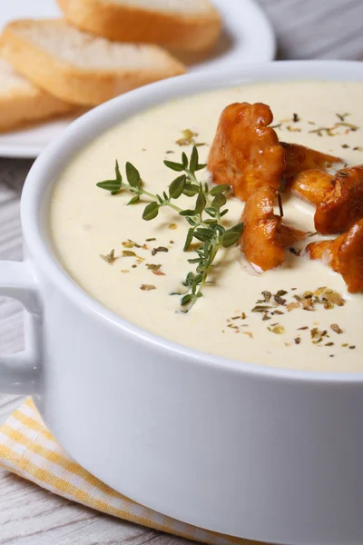 Cream soup with chanterelles close up vertical — Stock Photo, Image