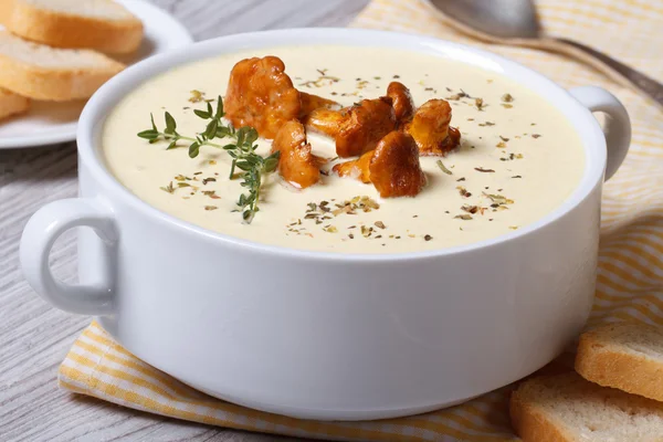 Cream soup with mushrooms chanterelles, thyme and croutons — Stock Image Cream soup with mushrooms chanterelles, thyme and croutons Stock Photo