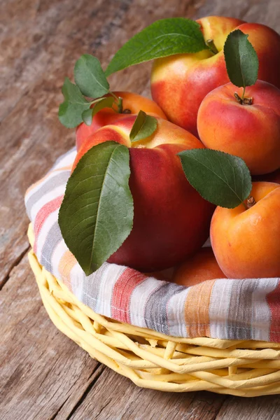 Fresh juicy nectarine, peaches and apricots in a basket — Stock Photo, Image
