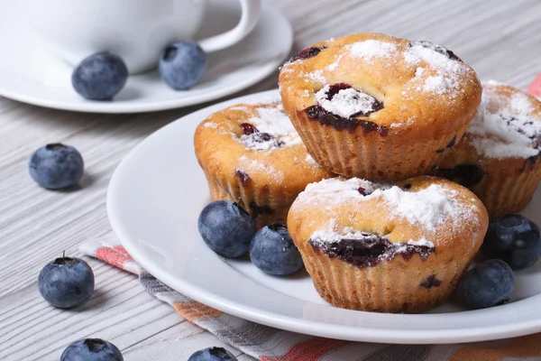 Muffins de mirtilo em uma placa branca e café closeup — Fotografia de Stock