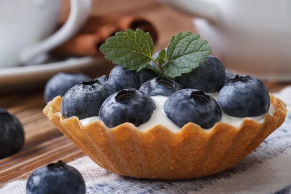 Tartlets with blueberries and cream closeup horizontal — Stock Photo, Image