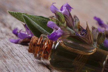 bir cam şişe makroda adaçayı kokulu özü. Yatay