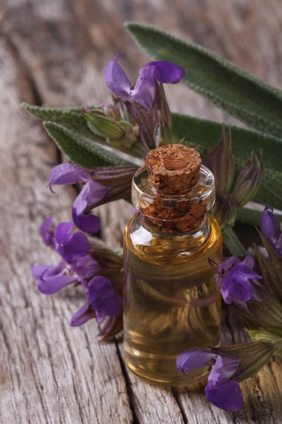 Olio di salvia in una bottiglia di vetro primo piano verticale — Foto Stock