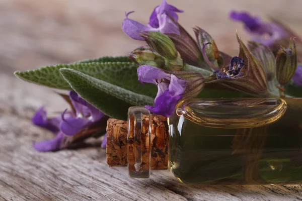 Fragrant sage oil in a glass bottle macro. horizontal — Stock Photo, Image