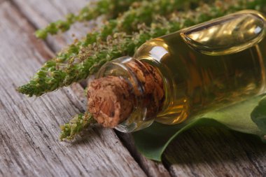 muz yatay cam şişede, ayıklamak