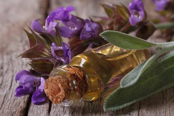 Fragrant sage oil in a glass bottle — Stock Photo, Image
