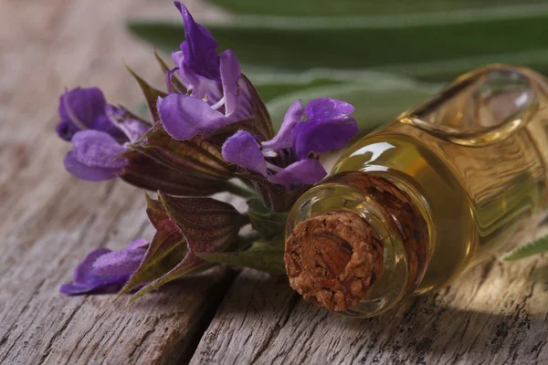 Duftender Salbeiextrakt in einer Flasche horizontal — Stockfoto