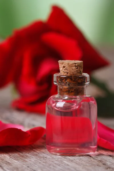 Rose oil on a background of red roses. vertical macro — Stock Photo, Image