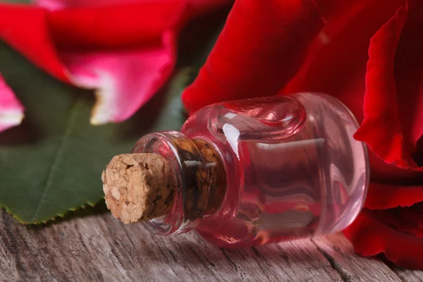 Olio di petali di rosa in bottiglia su fondo floreale — Foto Stock