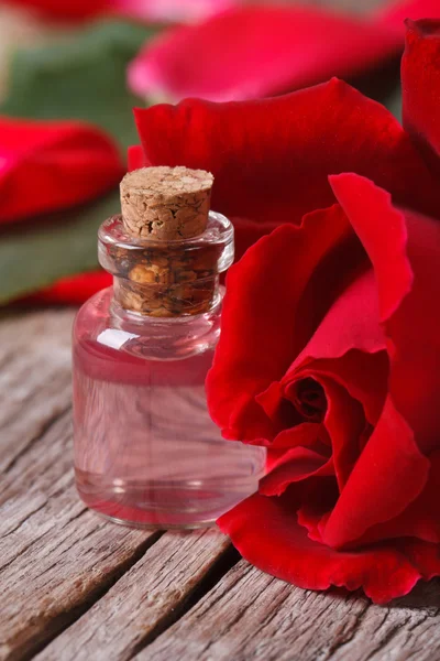 Red roses and delicate rose oil macro vertical — Stock Photo, Image