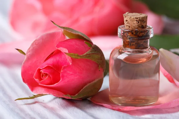 Rose water and pink beautiful flower macro horizontal — Stock Photo, Image