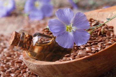 flax oil in a glass bottle, flowers and seeds in a spoon macro clipart