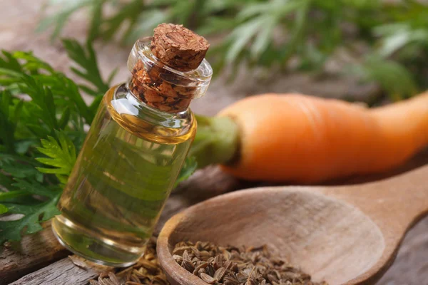 Olie van wortel zaden in een glazen fles close-up horizontale — Stockfoto