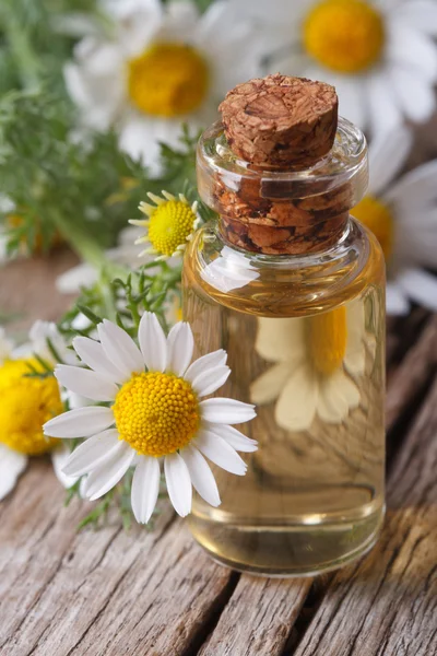 Chamomile oil in a glass bottle macro vertical — Stock Photo, Image