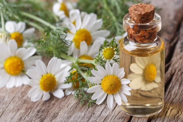 Aceite de flores de manzanilla en una botella de vidrio macro — Foto de Stock