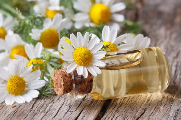 Olio in bottiglia di vetro sullo sfondo di fiori di camomilla — Foto Stock