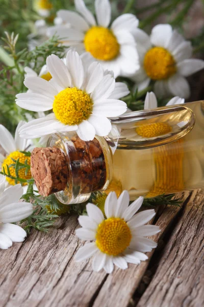 Cosmetic oil on the background of camomile flowers — Stock Photo, Image