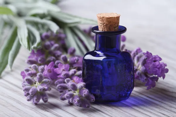 Lavendelöl in einer blauen Glasflasche und Blumen waagerecht — Stockfoto