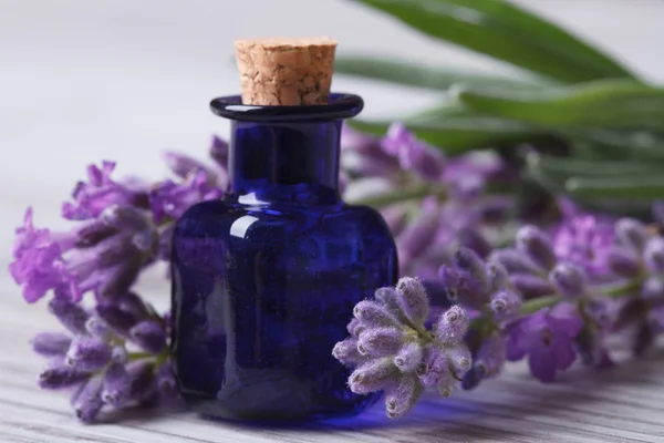 Aceite aromático de lavanda en la botella azul y flores de primer plano — Foto de Stock
