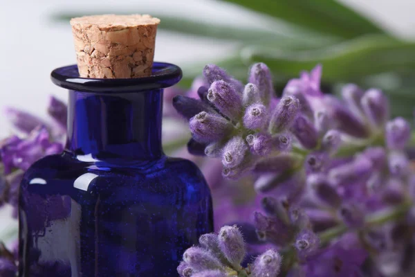 Fragrant lavender oil on the wooden table. horizontal macro — Stock Photo, Image