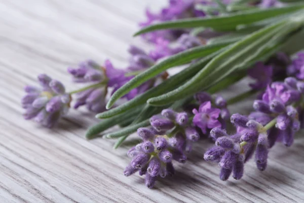 Bouquet of fragrant lavender flowers — Stock Photo, Image