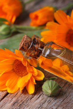 bir cam şişe closeup dikey Calendula yağda
