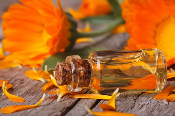 Calendula tincture and flowers on an old table horizontal — Stock Photo, Image