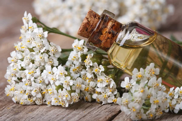 Yarrow oil in the bottle close-up horizontal — Stock Photo, Image