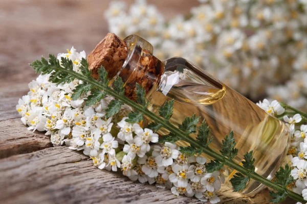 Krwawnik pospolity oleju w butelce z kwiatów na stole. poziome — Zdjęcie stockowe
