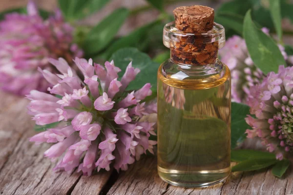 Aceite de trébol en una botella y flores macro horizontal — Foto de Stock