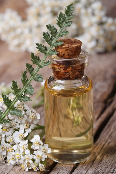 Yarrow oil in a bottle with flowers vertical macro — Stock Photo, Image