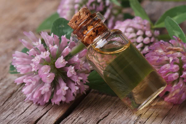 Tintura de trébol en una botella y flores macro horizontal — Foto de Stock